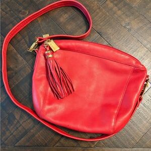 Tignanello Vibrant Red Leather Crossbody Bag